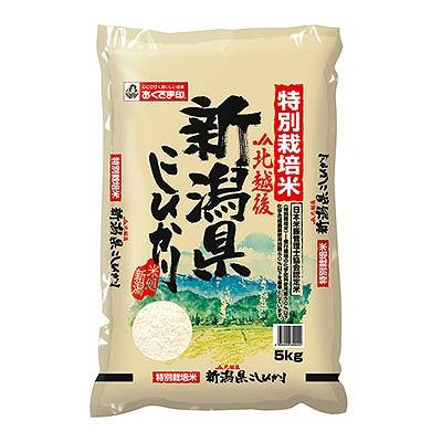 ノベルティ 記念品　特別栽培米新潟県産こしひかり5kg　 お返し 包装