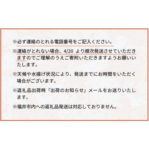 ふるさと納税 福井県 福井市 国産 生サーモン お刺身 ふくいサーモン（柵）150g【柵どり 冷蔵配送 低脂肪 低カロリ…