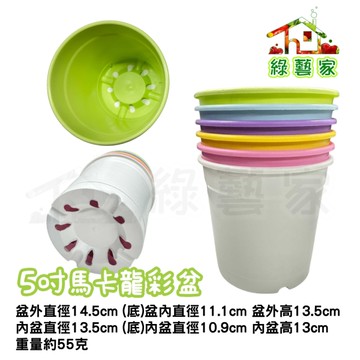 【綠藝家】5吋馬卡龍彩盆 (共6色可選) 白色//粉藍/粉紅/粉綠/粉紫/黃 花盆 盆栽 馬卡龍色