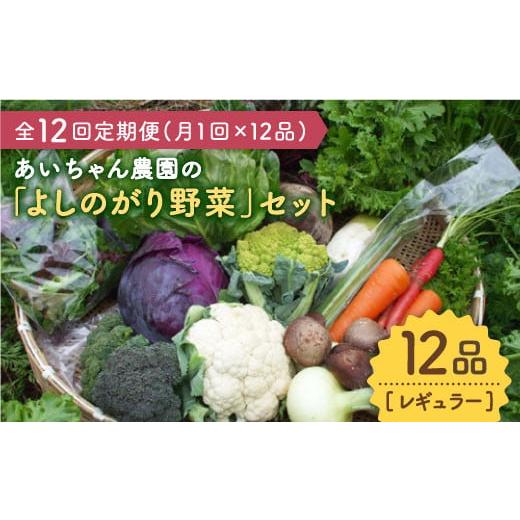 ふるさと納税 佐賀県 吉野ヶ里町 農薬に頼らない！カラダにやさしい「よしのがり野菜」セット（レギュラー）【吉野ヶ里あいちゃん農園…