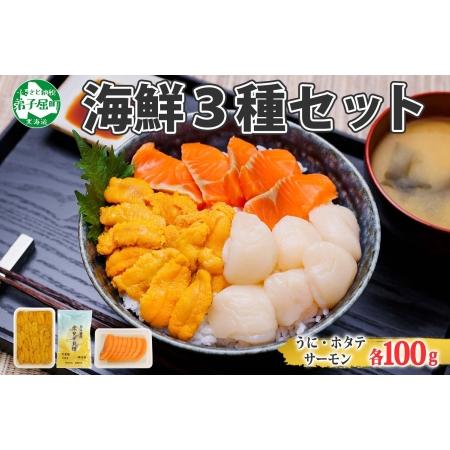 ふるさと納税 1989. ウニ チリ産 冷凍 ホタテ サーモン 切り身 各100g 計300g 海鮮 うに 雲丹 ほたて 帆立 貝柱 鮭 シャケ 海鮮丼 ご飯のお供 .. 北海道弟子屈町