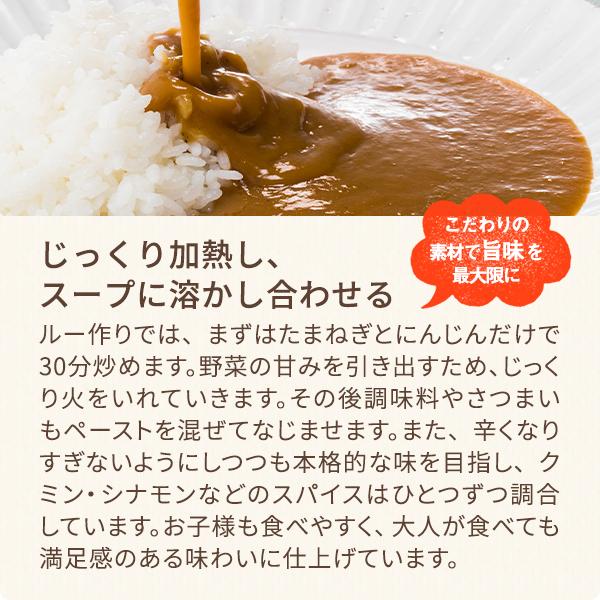 五島の鯛で出汁をとったあまくちのかんころカレー 1袋 有機JAS取得 28アレルゲン不使用 送料無料