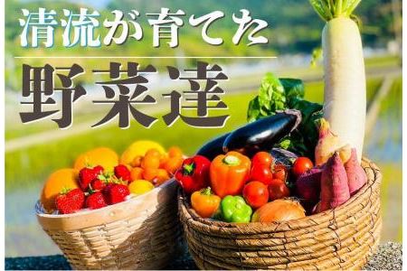 高知の新鮮野菜セット／旬の野菜を味わうお試し便