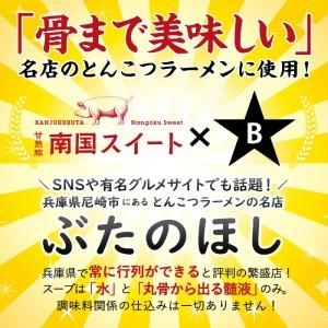 ふるさと納税 p8-105 甘熟豚南国スイート生餃子(96個) 鹿児島県志布志市