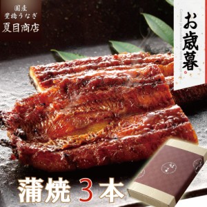 うなぎ 国産 お歳暮 ギフト 蒲焼き 155-167g×3尾 大盛3人前 送料無料 豊橋うなぎ プレゼント 贈り物 真空パック お祝 鰻 専門店 愛知県