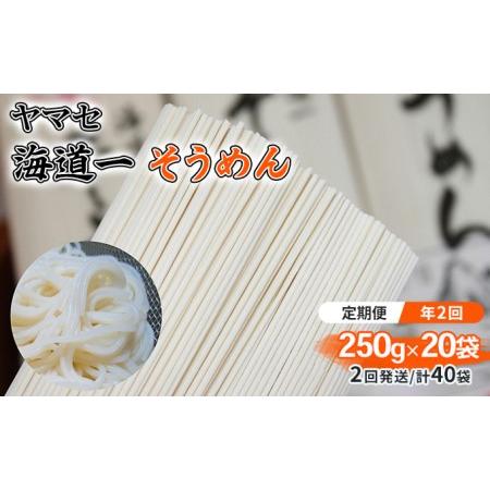 ふるさと納税 ヤマセ 海道一 そうめん 250g × 20袋（2回発送・計40袋） 静岡県浜松市