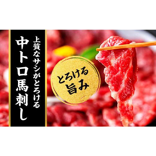 ふるさと納税 熊本県 人吉市 純国産 馬刺し 4種スペシャルセット 250g 赤身 霜降り 大トロ