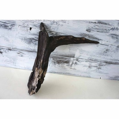 流木 ｄｉｙ インテリア 雑貨 ディスプレイ ガーデニング 観葉植物 木材 おしゃれ リフォーム オブジェ デザイン 自然素材 ハウス 303b 通販 Lineポイント最大0 5 Get Lineショッピング