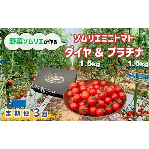 ふるさと納税 熊本県 玉名市  ソムリエミニトマト 食べ比べ3kg(プラチナ ダイヤ)×3ヶ月