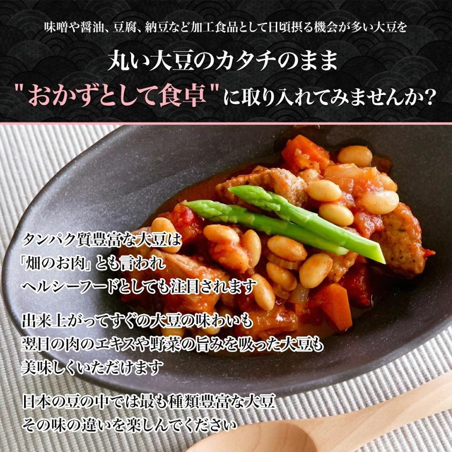 新豆 大粒ツルムスメ大豆 500グラム 令和5年収穫 北海道産 