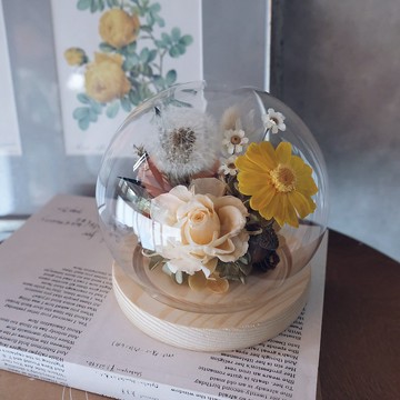 永生蒲公英 / 百日草/花禮/ 玻璃鐘罩 / 永生花禮/ 開幕花禮