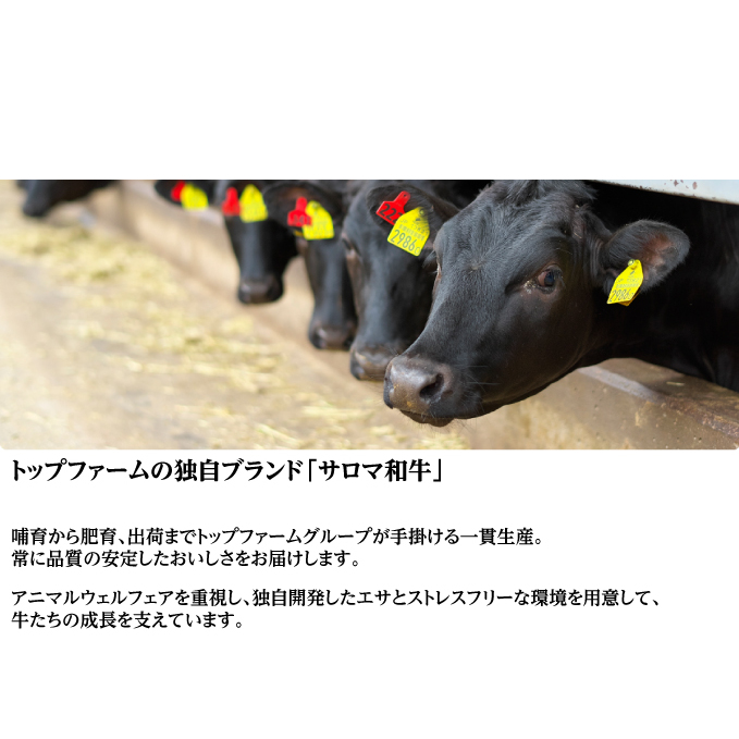 サロマ和牛 ヒレ 半頭分 薄切りスライス 約200g×15P前後 北海道 オホーツク 佐呂間町 肉 牛肉 和牛 ヒレ肉