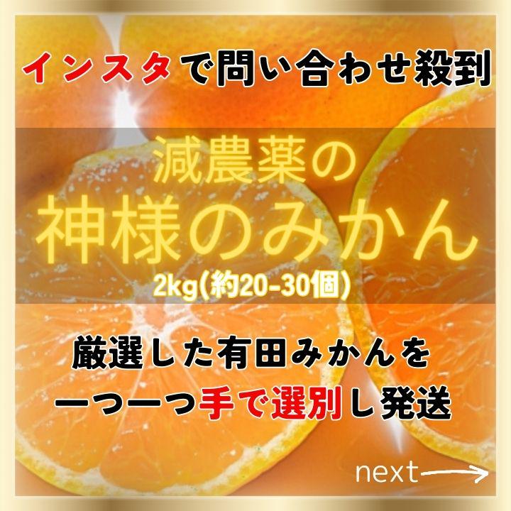 甘すぎ！有田みかん 早生 減農薬 産地直送 濃厚 甘い 高糖度2kg 訳あり