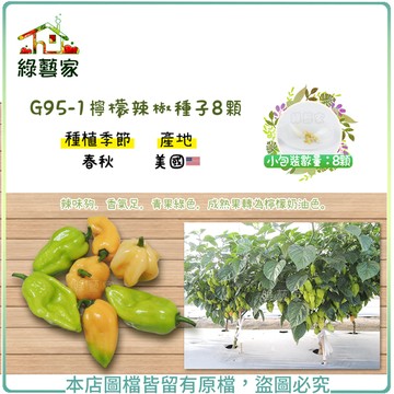 【綠藝家】G95-1檸檬辣椒種子8顆