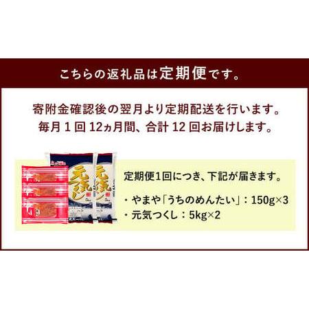 ふるさと納税  やまや の 訳あり 明太切子 450gと お米 元気つくし 10kgのセット 明太子 精米 福岡県太宰府市