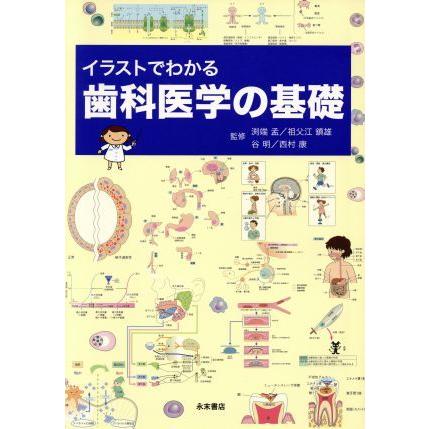 イラストでわかる歯科医学の基礎／淵端孟(著者),祖父江鎮雄(著者)