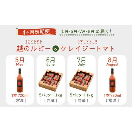 ふるさと納税 定期便 ≪4ヶ月連続お届け≫ 「越のルビー」ミディトマト5パックと完熟収穫にこだわったトマトジュース！「クレイジー.. 福井県坂井市