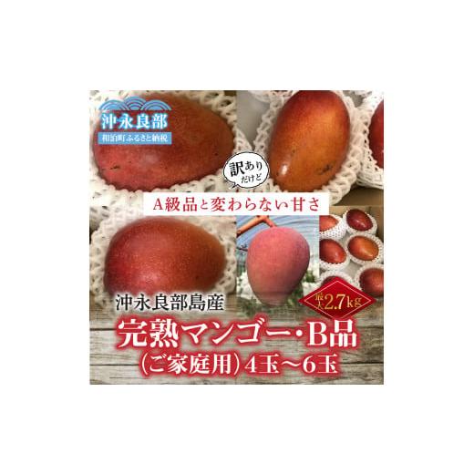 ふるさと納税 鹿児島県 和泊町 安くて美味しい・完熟マンゴー(ご家庭用)2Kg 4玉〜6玉 