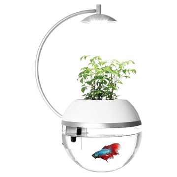 ARKY 香草與魚 全新結構易安裝 電路防水盒設計 植物魚共生循環生態 LED植物生長專用燈  23.3 x 17.7 x 35.8cm  銀色  1組