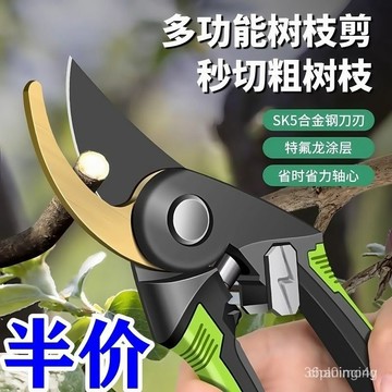 特快德國SK5園藝剪不銹鋼省力強力粗枝剪樹枝專用剪子園林修枝剪🔥三月放送 OPS6 Q7HS