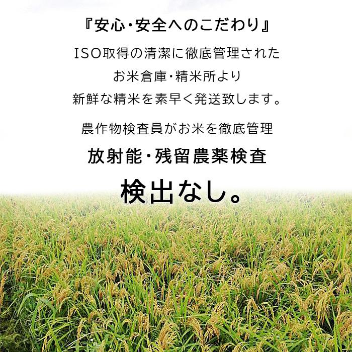 米15kg 米 お米 15kg ふるさと応援米 5kg×3袋 セット 送料無料 こめ 小分け 精米 つきたて米 ブレンド米 国内産