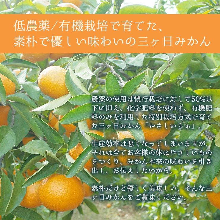  低農薬 有機栽培 三ヶ日 中生 みかん 10kg 南柑 送料無料 訳あり やさしいらぁ 3S 〜 3L サイズ不揃い オーガニック 特別栽培 有機肥料 減 農薬