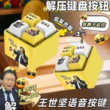 隔日達🌟台灣現貨🌟新款從從容容語音按鍵 沒出息 發光鑰匙圈 解壓按鍵 我瞧不起你語音吊飾 王世堅語音按鍵 解壓神器