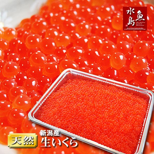 新潟産 生いくら 季節限定「とろりやわらか 生イクラ」 1kg 送料無料