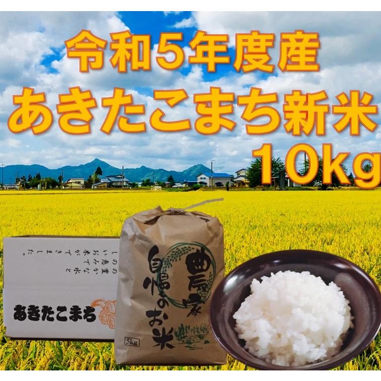 米 10kg 白米 大仙 大曲 秋田県産 新米   あきたこまち 令和5年度産 10kg