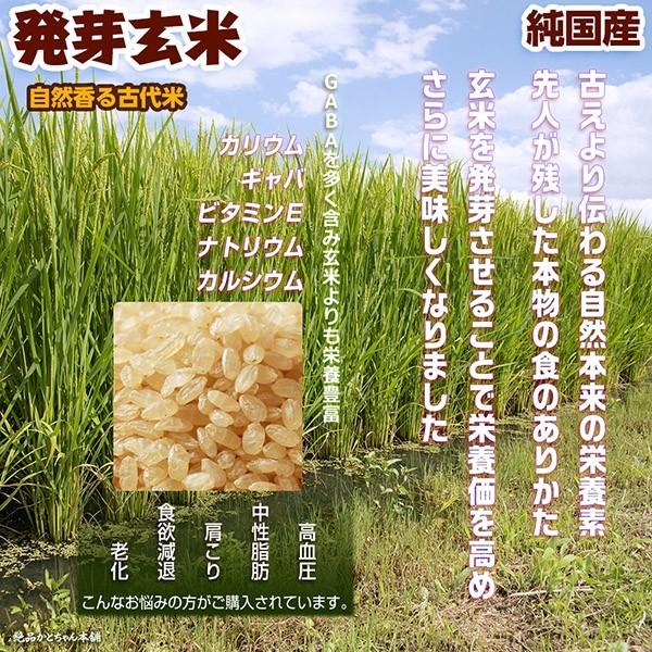 雑穀 雑穀米 国産 発芽玄米 4.5kg(450g×10袋) 送料無料 ダイエット食品 置き換えダイエット 雑穀米本舗 ＼セール／