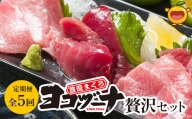 豊後まぐろヨコヅーナ贅沢セット全5回 赤身250g 中トロ500g 大トロ250g入りの豪華セット マグロ まぐろ 鮪 刺身 刺し身 大分県産 九州産 津久見市