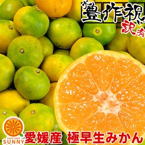 愛媛産 極早生みかん 10kg 訳あり( 約1kg多め)不揃い フルーツ 美味しいみかん ご家庭用 果物 くだもの 果実