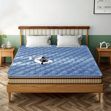 CHESTER 契斯特 專利纖維防潑水蓄熱保暖墊 5尺  雙人  藍色  1cm