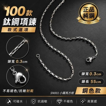 項鍊 素鍊 鏤空 不褪色 可碰水 抗過敏 質感 男 百搭 個性 簡約 鈦鋼 銀色 現貨 小羅馬 方框 細鏈 SN001