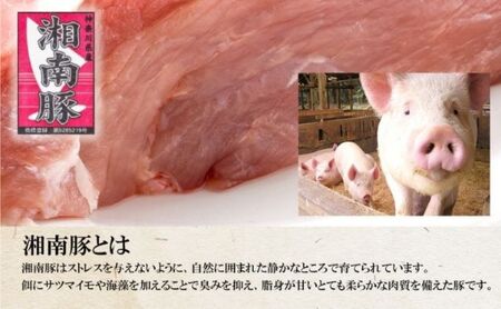 葉山牛と湘南豚切落し食べ比べセット 隔月定期便・全3回  定期便 国産 国産牛 国産豚 肉 冷凍 ギフト 贈答 プレゼント 誕生日 お取り寄せ 