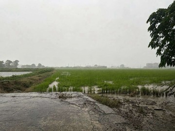 專約白河都計農地大面積稀有釋出｜台南市白河區新興段