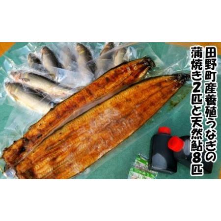 ふるさと納税 田野町産うなぎの蒲焼き2匹と天然鮎8匹セット 高知県田野町