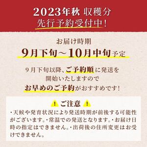 ≪先行予約≫ご家庭用 2024年 山形県 高畠町産 シャインマスカット 粒詰合せ 800g以上(400g×2) 2024年9月下旬頃から順次発送 ぶどう ブドウ 葡萄 マスカット 大粒 種なし 高級 くだもの 果物 フルーツ 秋果実 産地直送 農家直送 数量限定 ご自宅用 訳あり 粒 つぶ 詰合 宝石 F20B-607  次へ        寄付金額