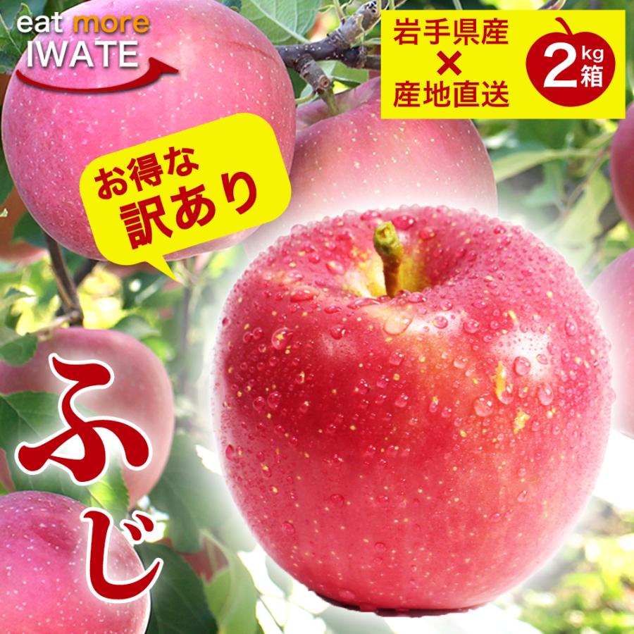 りんご 訳あり 産地直送 岩手県産 サンふじ 2kg 5-10玉入り ふじ ご自宅用 農家直送 林檎 リンゴ 果物 無袋栽培 樹上完熟