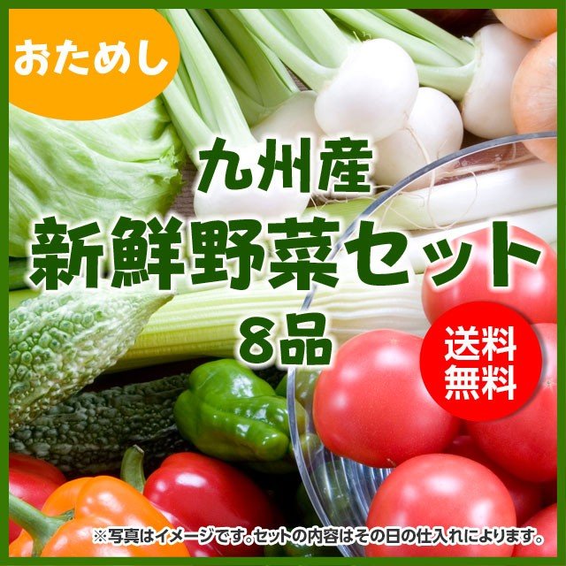 おためし九州産旬の野菜セット