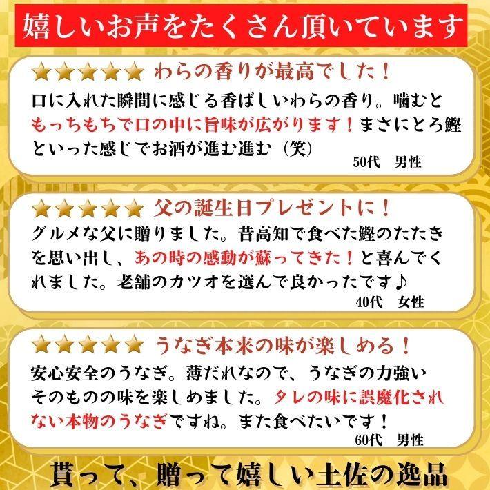 仁淀川 うなぎ 蒲焼き 土佐沖 カツオのたたき セット 高知県産 ギフト 贈答