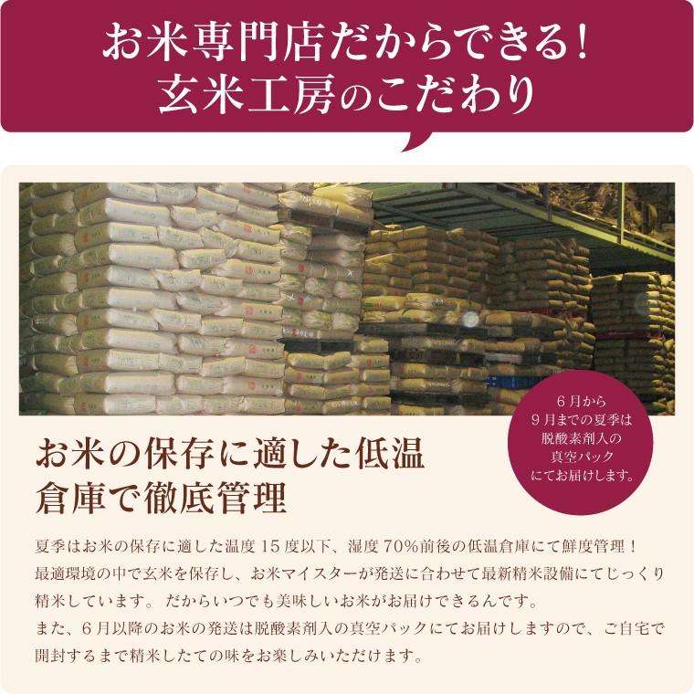 新米 令和５年 お米 10kg 福島県産 ミルキークイーン 無洗米 送料無料 精米  米