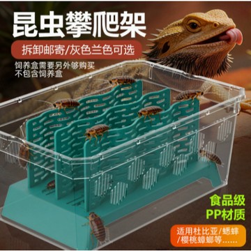【台灣現貨】爬蟲昆蟲架 活體飼料架 蜥蜴 飼料架 黃粉蟲 大麥蟲 蟋蟀 櫻桃蟑螂 杜比亞 鼠婦 黃金杜比亞 飼料盒