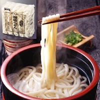  麺始め 讃岐うどん(緑) 250G 5食入 冷凍 2セット