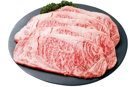 ふるさと納税　飛騨牛 牛肉 ステーキ サーロイン 250g×6枚 計1.5kg A5 和牛