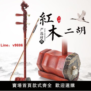 【台灣公司 超低價】龍頭二胡初學成人兒童紅花梨木二胡銅軸木軸練習演奏二胡專用琴