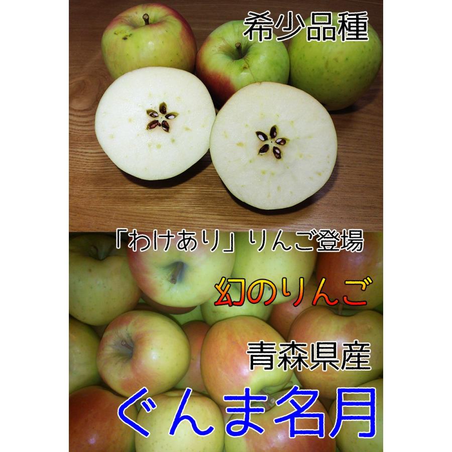 りんご 訳あり 10kg 青森県産 ぐんま 名月 約10kg 訳あり 幻のりんご 送料無料 傷あり 予約 11月下旬頃から発送