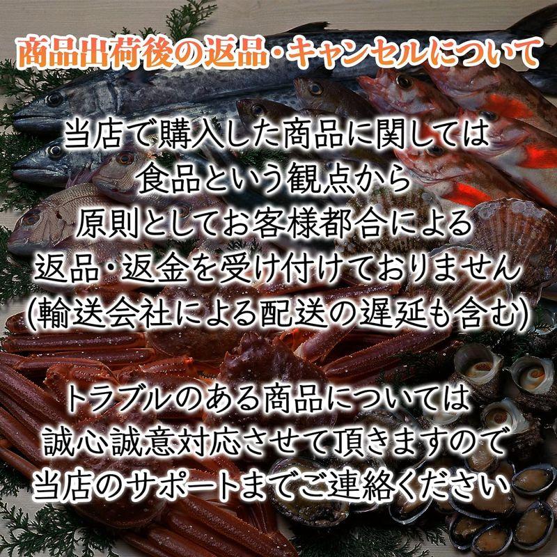 北海道産 イカ一夜干し(2枚入り) 贈答品 海鮮ギフト お取り寄せグルメ 北海道名産 干物