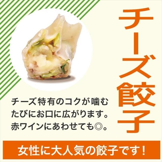 人気３種セット　 宇都宮餃子館 餃子 ぎょうざ 惣菜 点心 冷凍餃子 