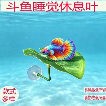 ⭐⭐鬥魚休息葉躲避產卵浮葉裝置睡覺休息牀臺水族魚缸造景裝飾仿真葉